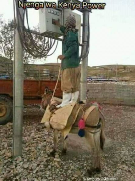 Njenga wa kenya power