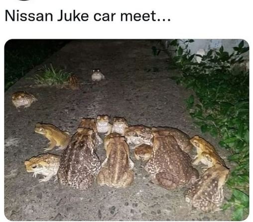 Nissan juke car meet.