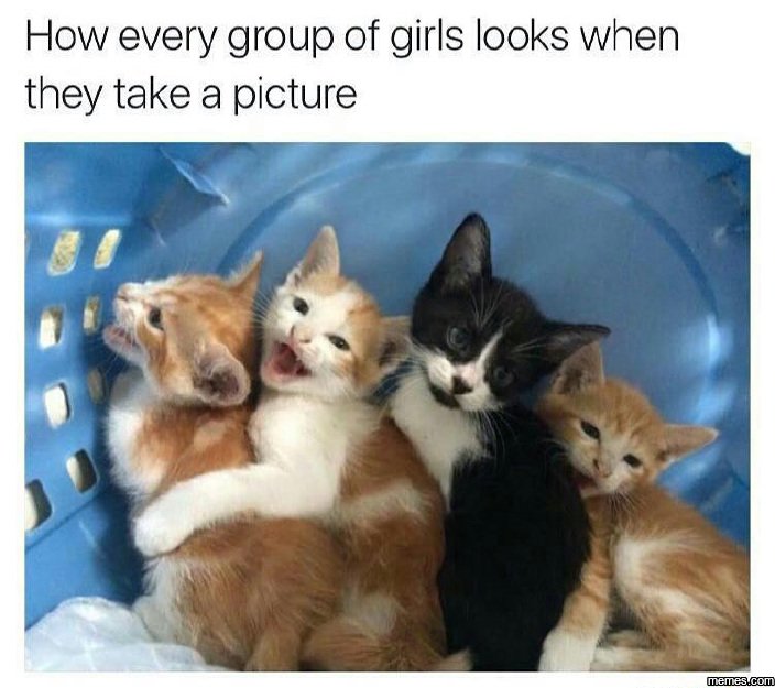 How every group of girls looks when they take a picture memes