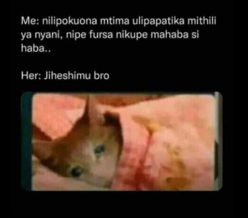 Me nilipokuona mtima ulipapatika mithili ya nyani , nipe fursa nikupe mahaba si