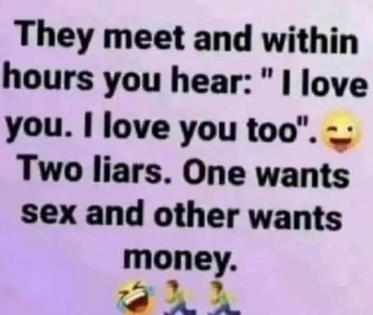 They meet and within hours you hear 0 i love you. love you too two liars. one wa