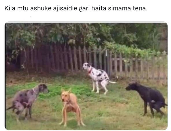 Kila mtu ashuke ajisaidie gari haita simama tena