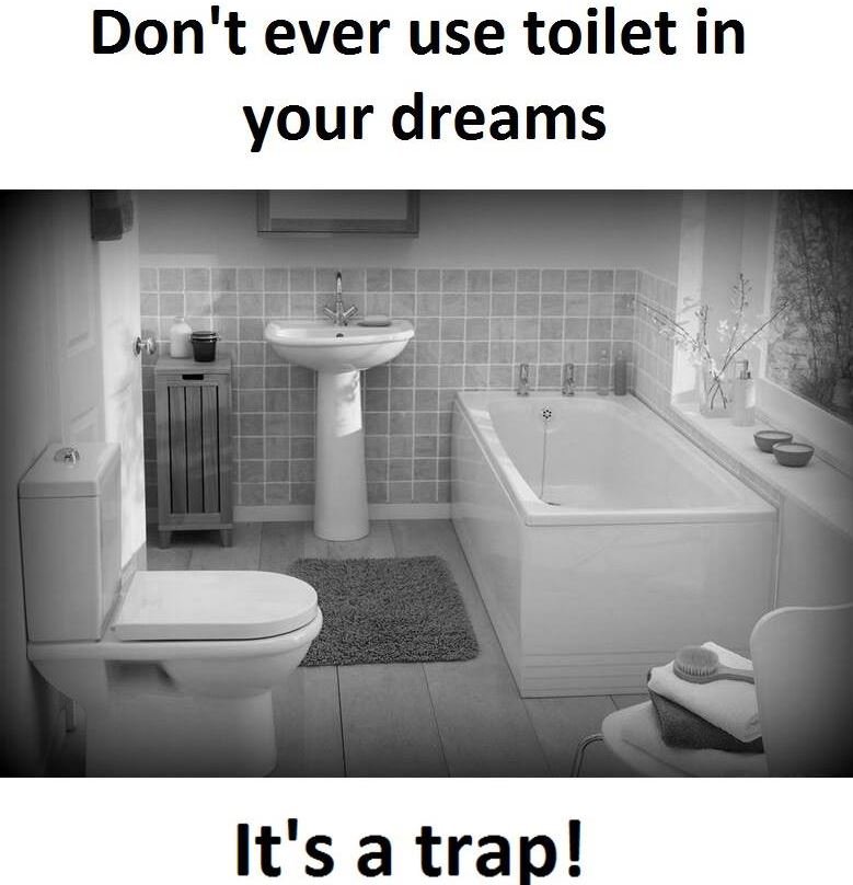 Don't ever use toilet in your dreams it'sa trap!