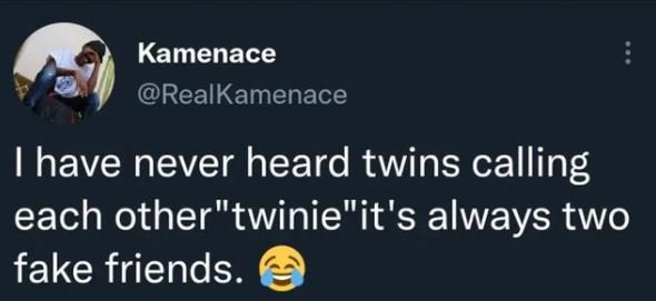 Kamenace RealKamenace have never heard twins calling each othertwinieit's always