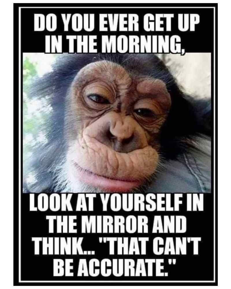 Do you ever get up inthe morning lookat yourselfin the mirror and think 77 222 t