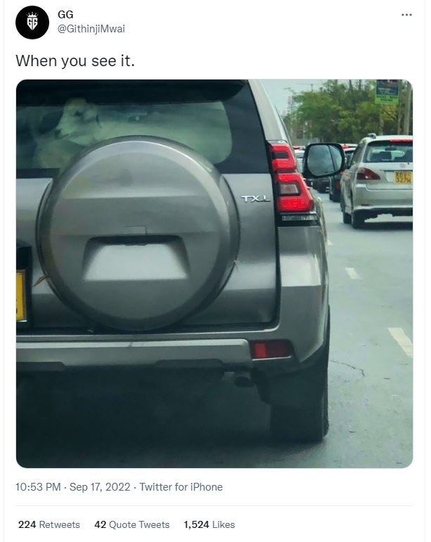 Gg githinjimwai when you see it 10.53 pm sep 17, twitter for iphone 224 retweets