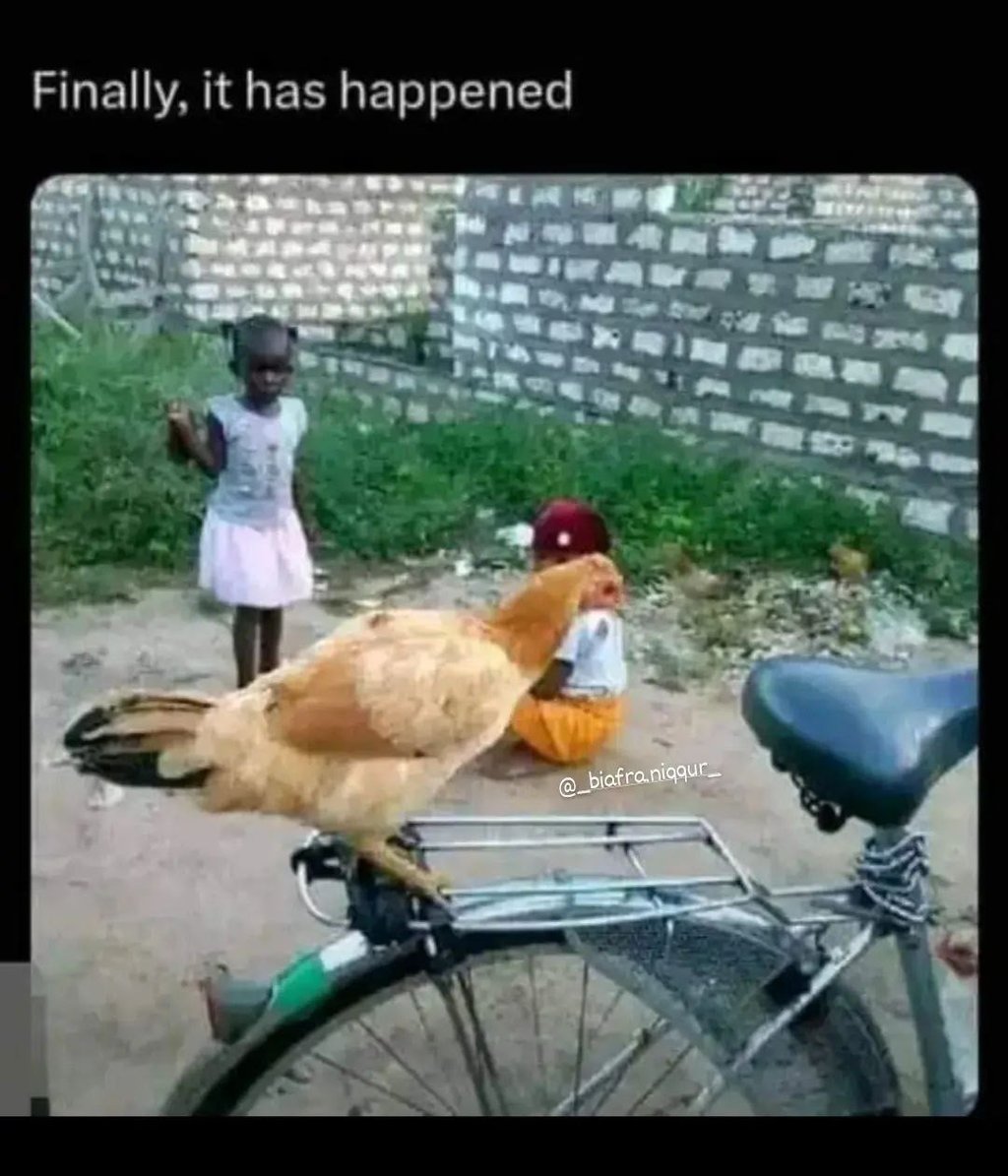 Finally it has happened biofra nigqur