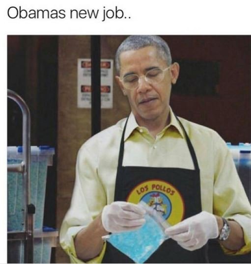 Obamas new job. 1o2 ollos