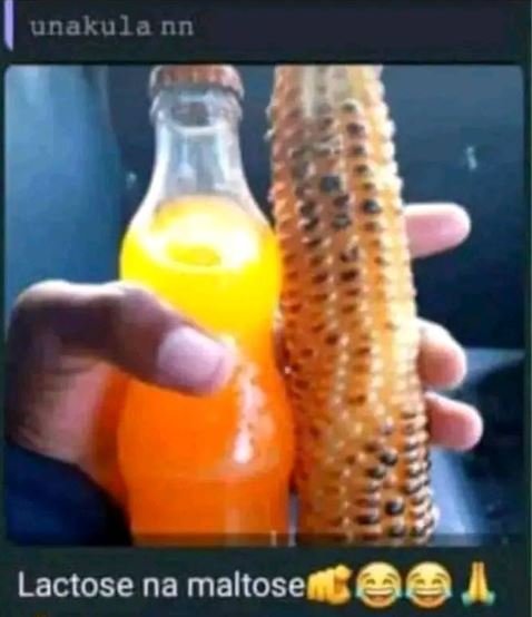 Unakula nn lactose na maltose