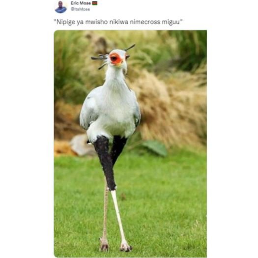 Enchoes nipige ya mwisho nikiwa nimecross miguu