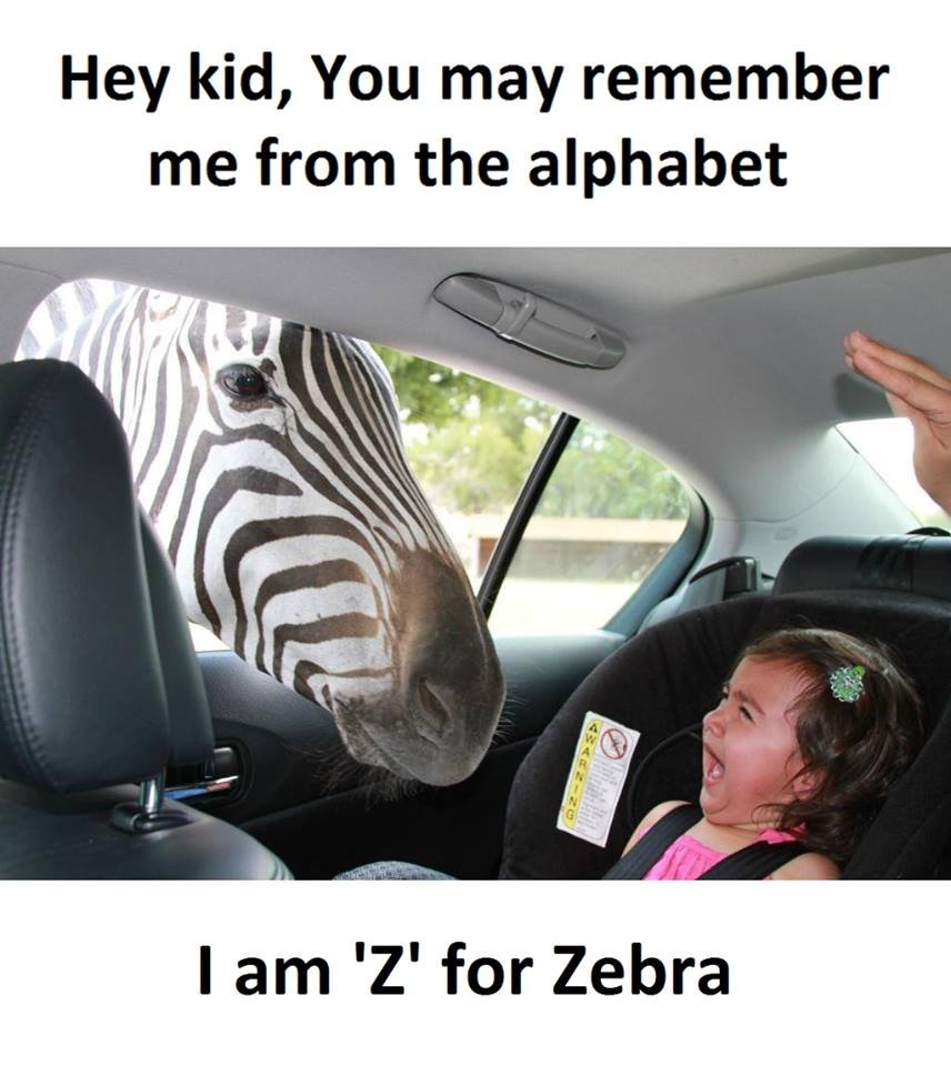 Hey kid, you may remember me from the alphabet lam 'z' for zebra