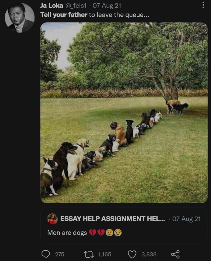 Ja loka _felsı 07 aug 21 tell your father to leave the queue essay help assignme