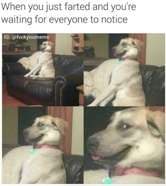 When you just farted and you're waiting for everyone to notice ig fvckyoumeme