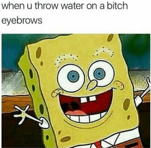 When u throw water on a bitch eyebrows