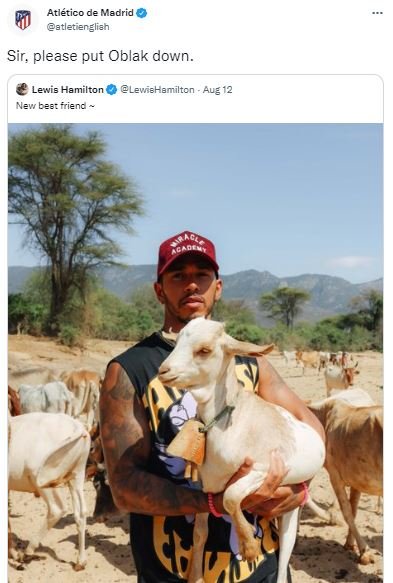 Atlético de medrid atletierslisn sir, please put oblak down. lewis hamilton levn