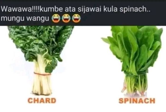Wawawallllkumbe ata sijawai kula spinach. mungu wangu chard spinach