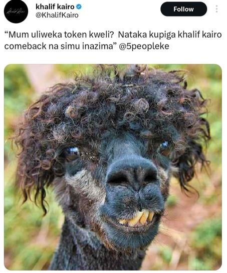 Khalif kairo khalifkairo follow mum uliweka token kweli? nataka kupiga khalif ka