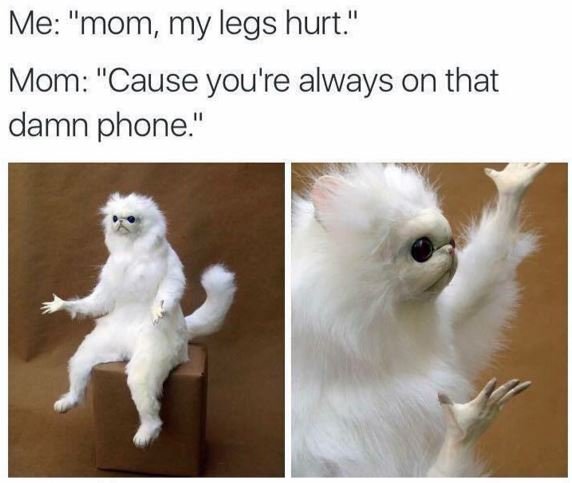 Me mom my legs hurt mom cause you're always on that damn phone.
