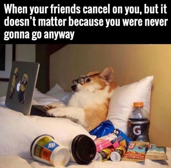 When your friends cancel on you but it doesn't matter because you were never gon