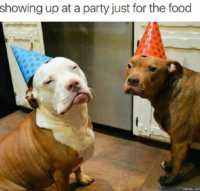 Showing up at a party just for the food jiemes