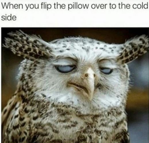 When you flip the pillow over to the cold side