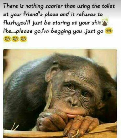 There is nothing scarier than using the toilet at your friend' s place and it re