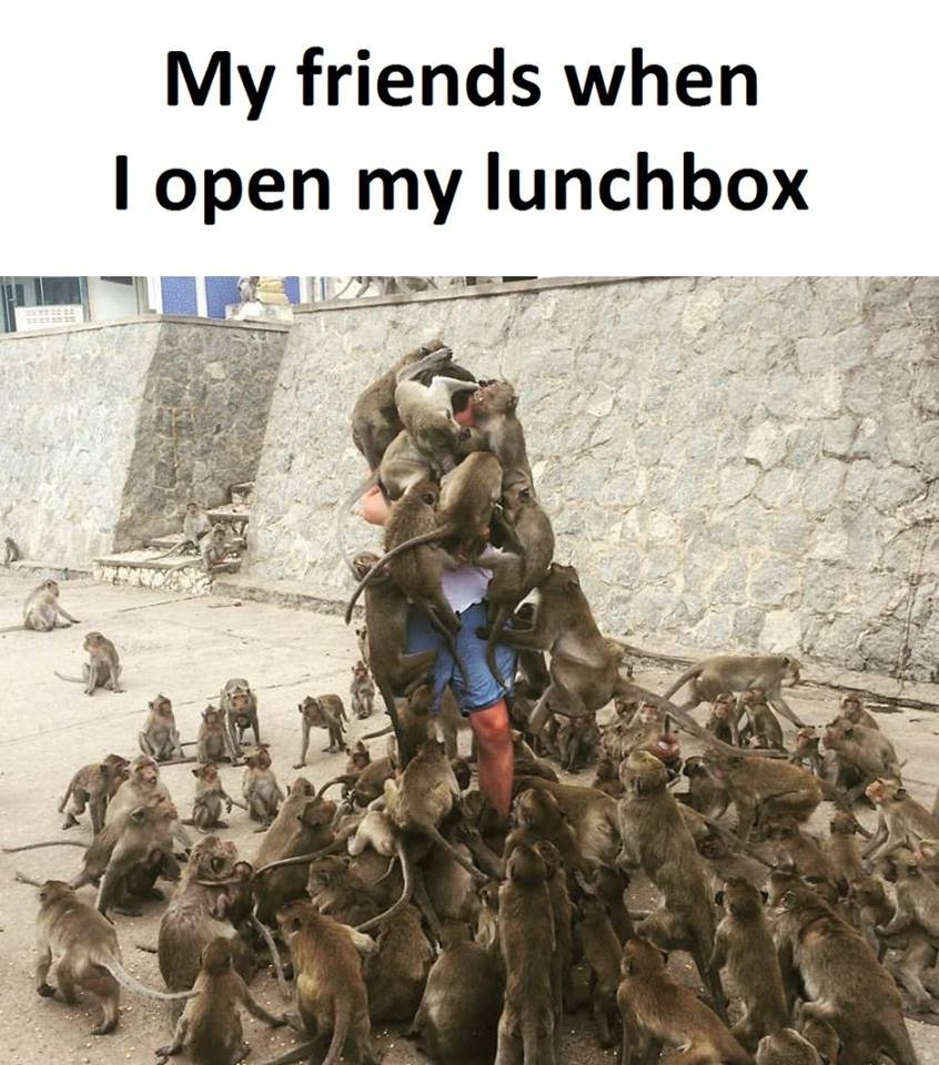 My friends when 1 open my lunchbox