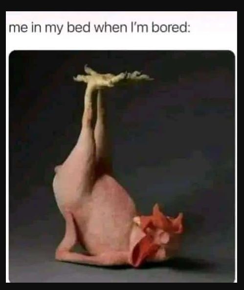 Me in my bed when 'm bored