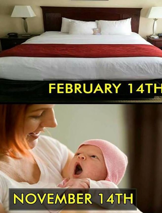 February 14th november 14th