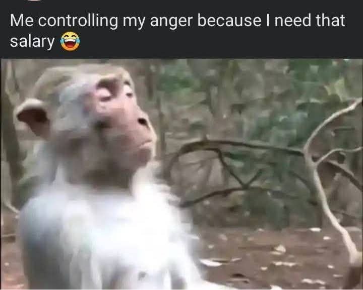 Me controlling my anger because need that salary