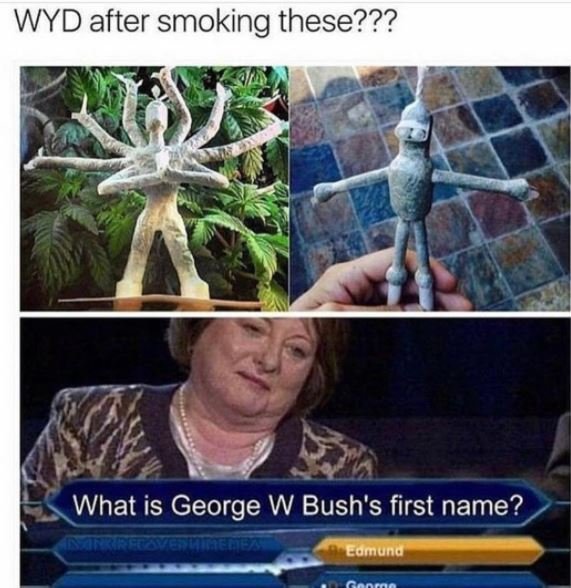 Wyd after smoking these??? what is george w bush's first name? eomuno