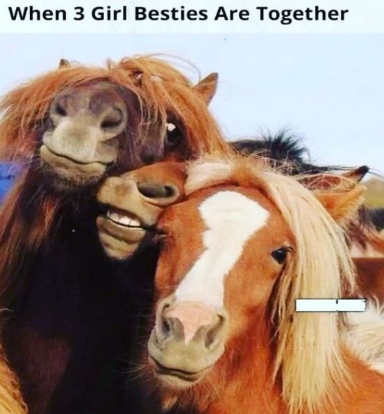 When 3 Girl Besties Are Together