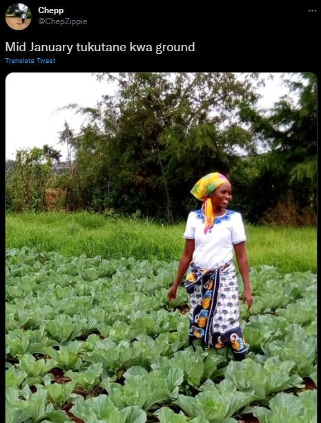 Chepp ChepZippie Mid January tukutane kwa ground Translate Tveet