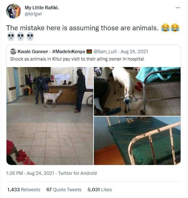 My Little Rafiki . kirigwi The mistake here is assuming those are animals. Kwale