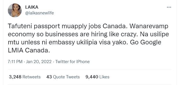 LAIKA laikasnewlife Tafuteni passport muapply jobs Canada. Wanarevamp economy so
