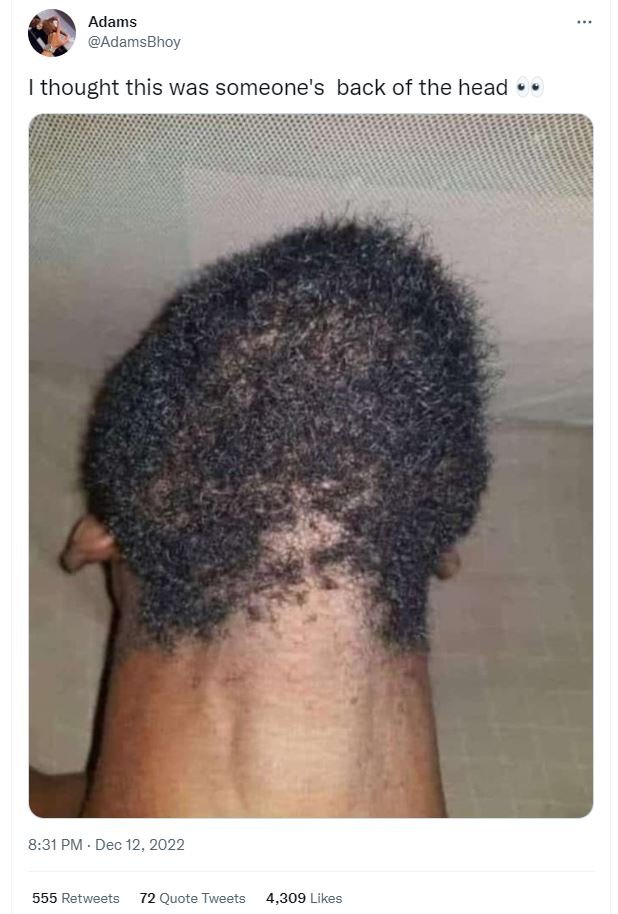 Adams adamsbhoy thought this was someone's back of the head 8.31 pm dec 12, 555