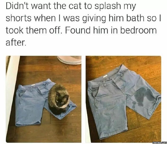 Didn't want the cat to splash my shorts when was giving him bath so took them of