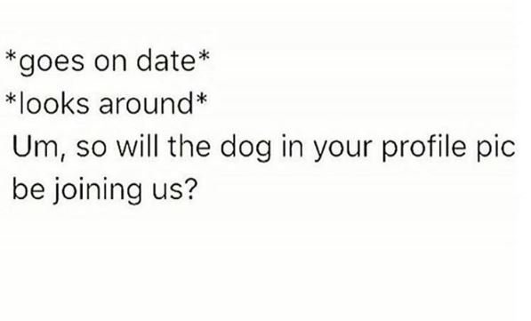 Goes on date looks around um, so will the dog in your profile pic be joining us?