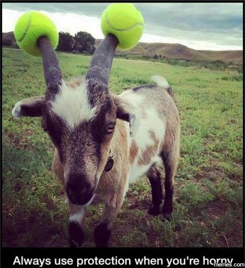 Always use protection when you 're hoiemgg com