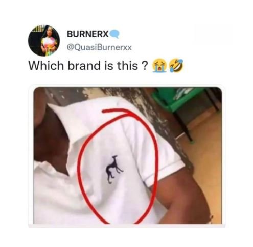Burnerx quasiburnerxx which brand is this ?