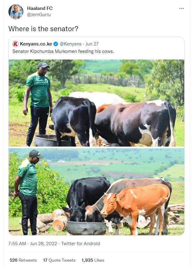 Haaland fc jemgurru where is the senator? kenyans.co.ke kenyans jun 27 senator k