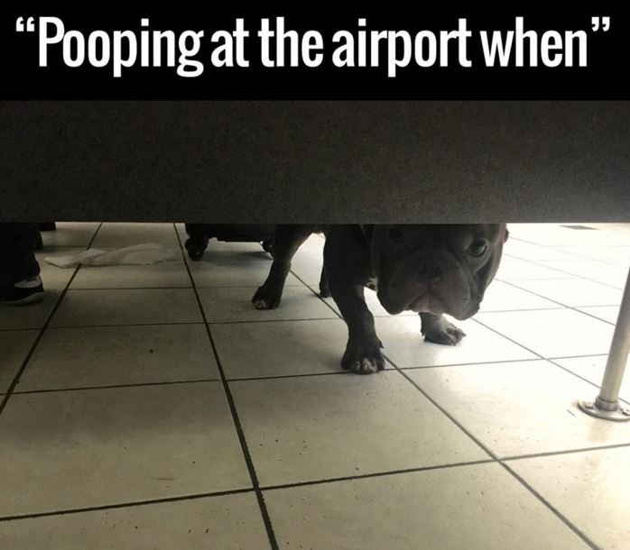 19 'poopingat theairportwhen
