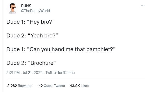 Puns thepunnyworld dude 1 hey bro? dude 2 yeah bro? dude 1 can you hand me that