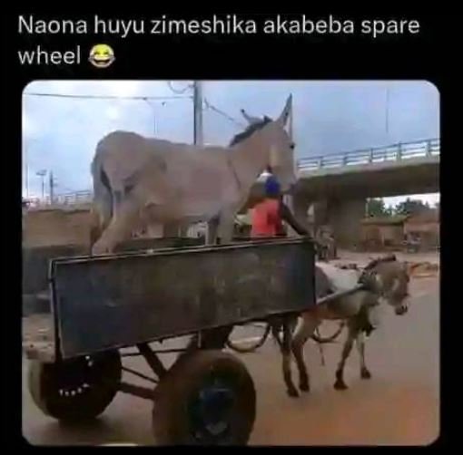Naona huyu zimeshika akabeba spare wheel