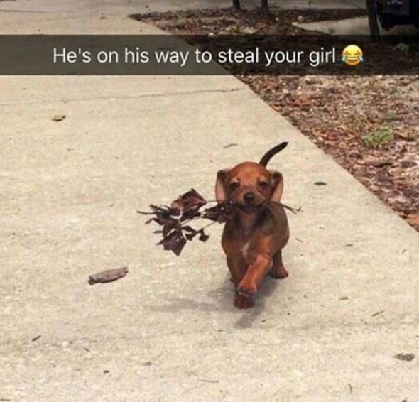 He's on his way to steal your girl