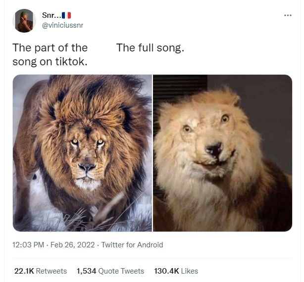 Snr.. viniciussnr the part of the song on tiktok. the full song 12.03 pm feb 26,