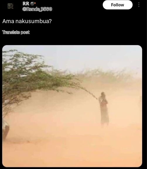 Rr randa3560 follow ama nakusumbua? jianslate post