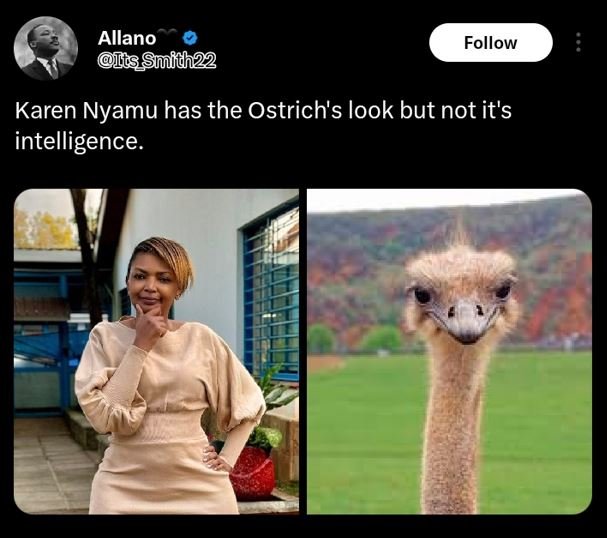 Allano is smidh22 follow karen nyamu has the ostrich's look but not it's intelli