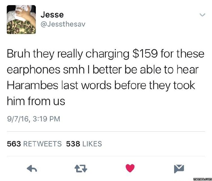 Jesse jessthesav bruh they really charging 159 for these earphones smh better be