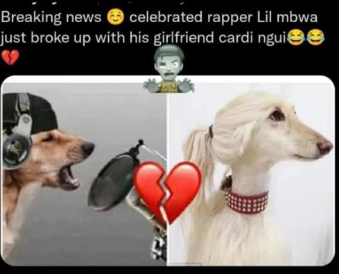 Breaking news celebrated rapper lil mbwa just broke up with his girlfriend cardi